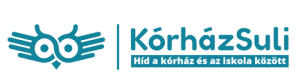 korhazsuli-logo